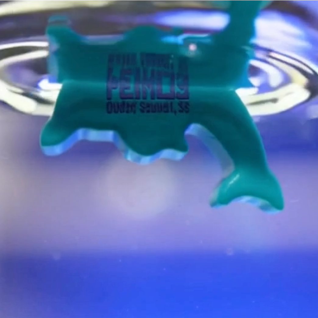 Pemulis Water & Power Pemulis Floating Dolphin Keychain