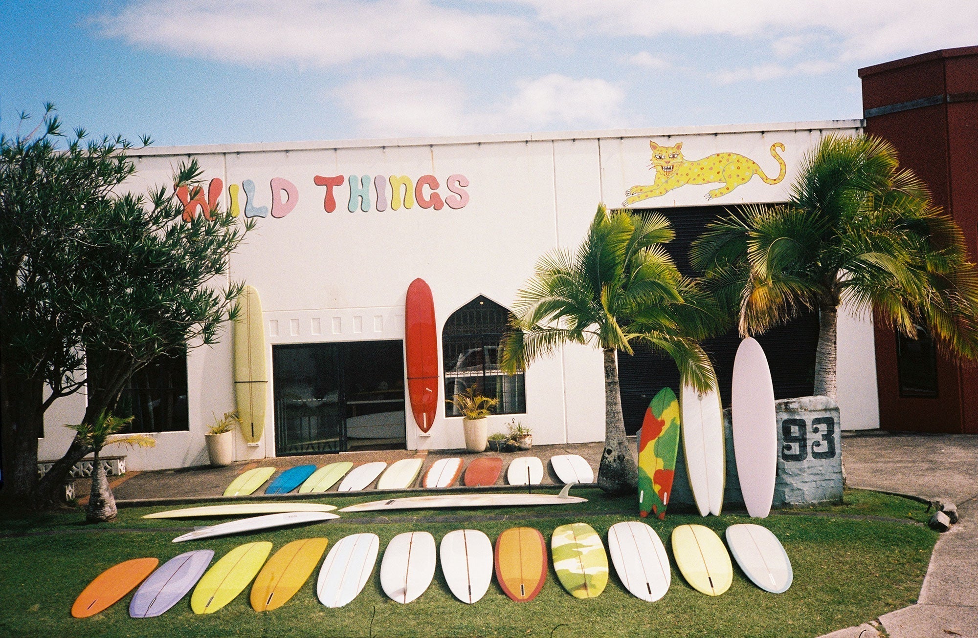 Wild Things Gallery - Pemulis Water & Power