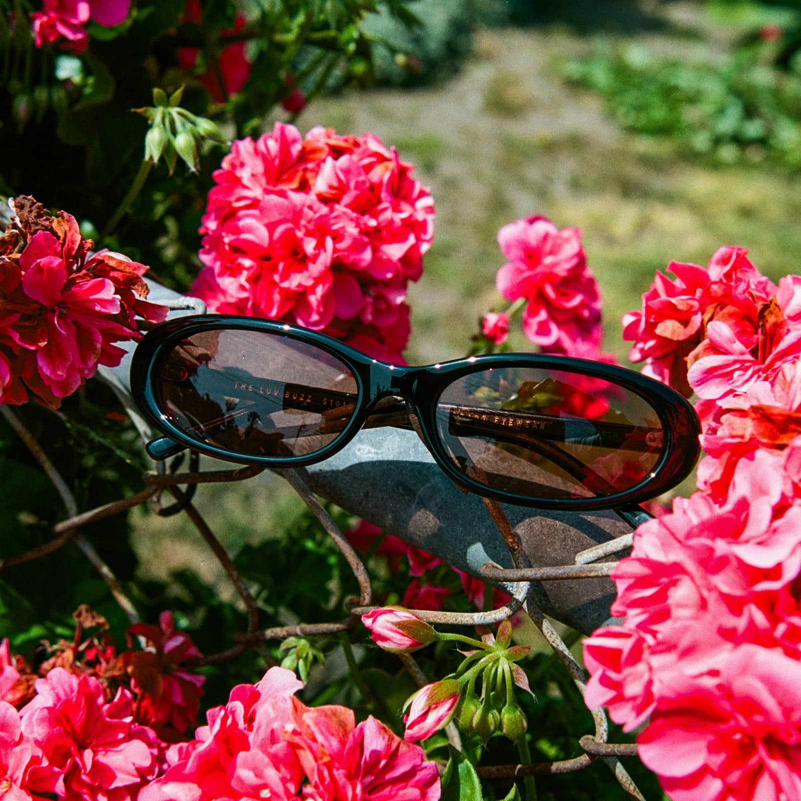 Crap Eyewear The Luv Buzz sunglasses