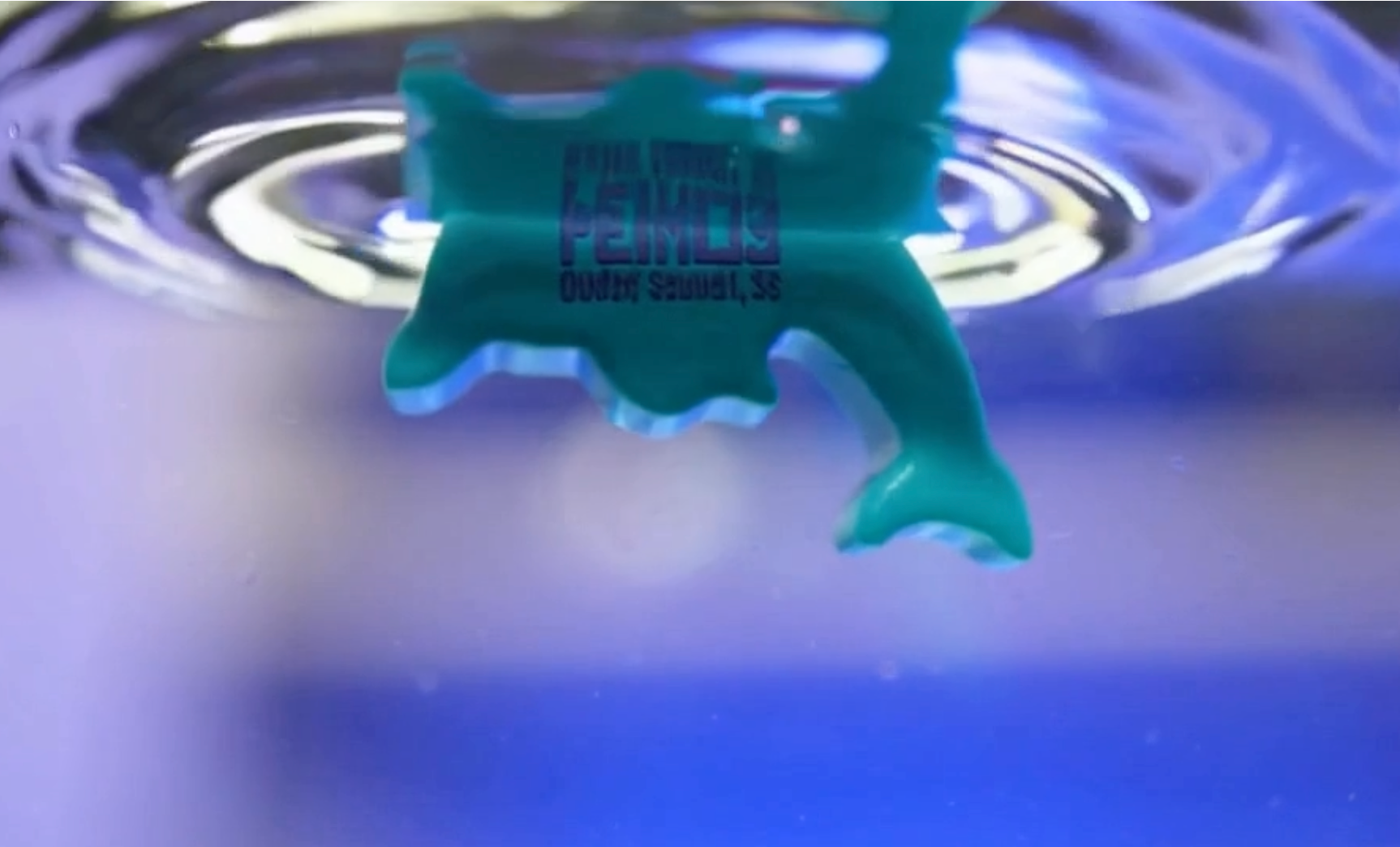 Pemulis Water & Power Pemulis Floating Dolphin Keychain