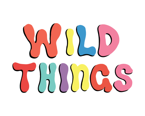 multicolored brand logo for Wild Things Gallery Surf Shop 