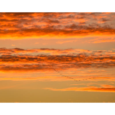 Jack Persons Afterglow - Fine Art Print