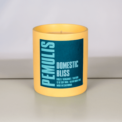 Domestic Bliss Scented Candle - Pemulis Water & Power