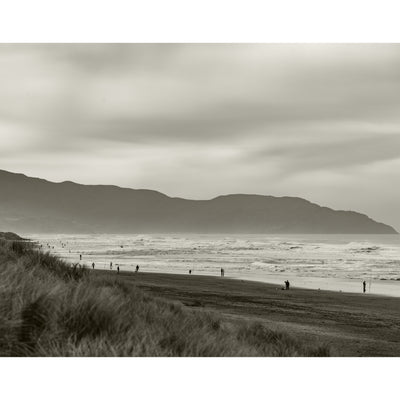 Jack Persons Dunegrass - Fine Art Print