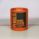 Natural Selection Scented Candle - Pemulis Water & Power