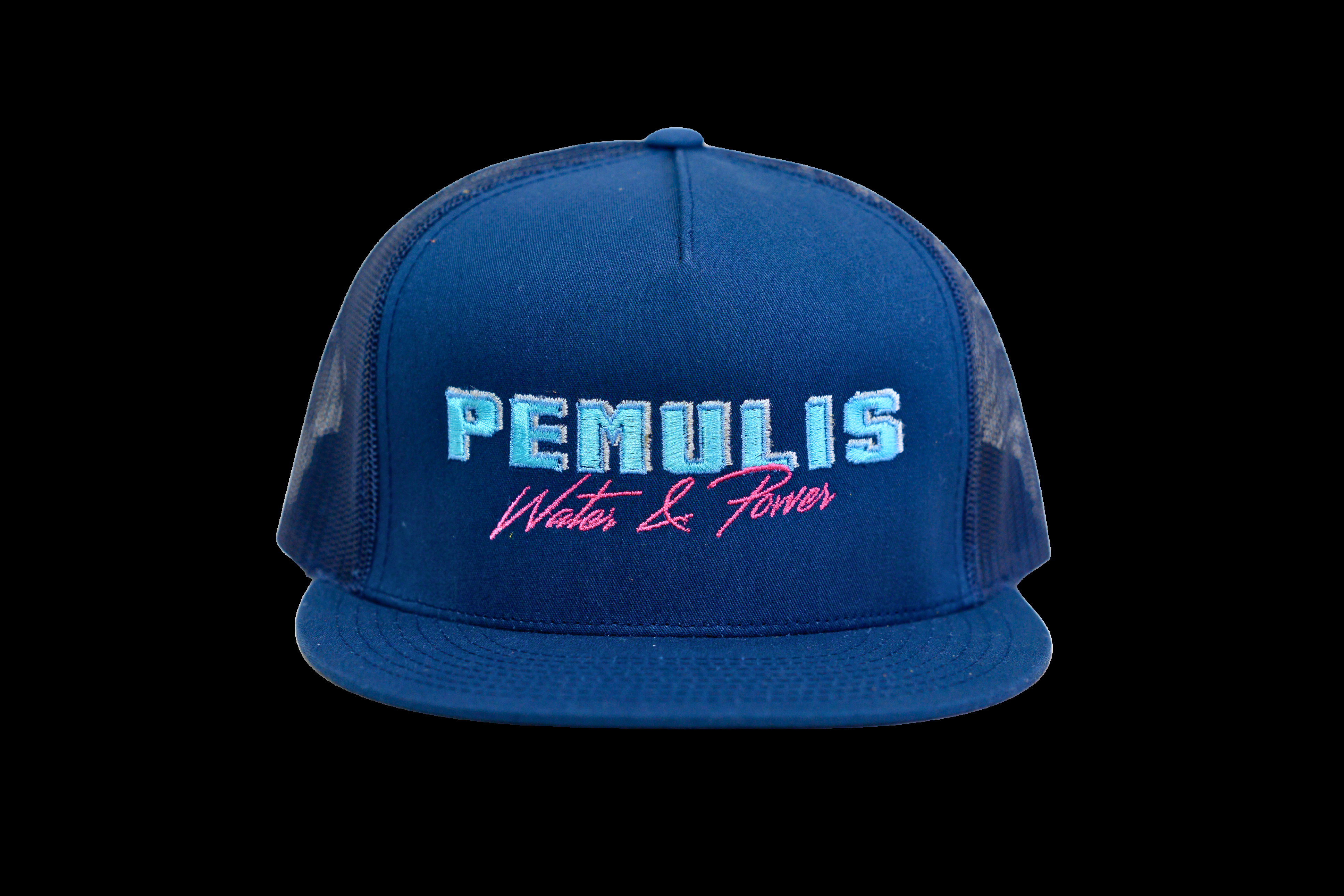 Pemulis Logo Trucker Hat Hats - Main Product Image