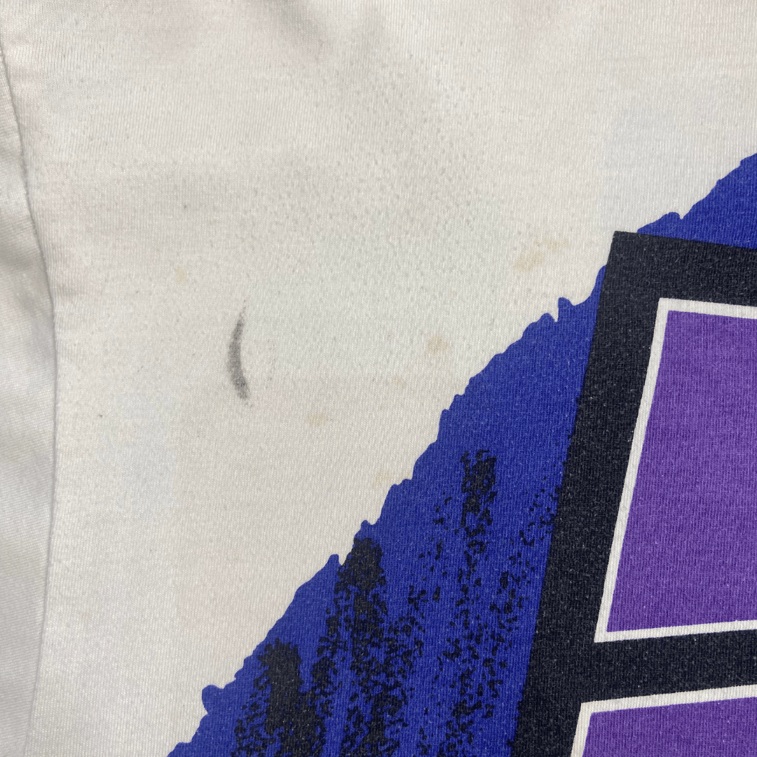 Vintage AXO Blue & Purple Jersey - Pemulis Water & Power